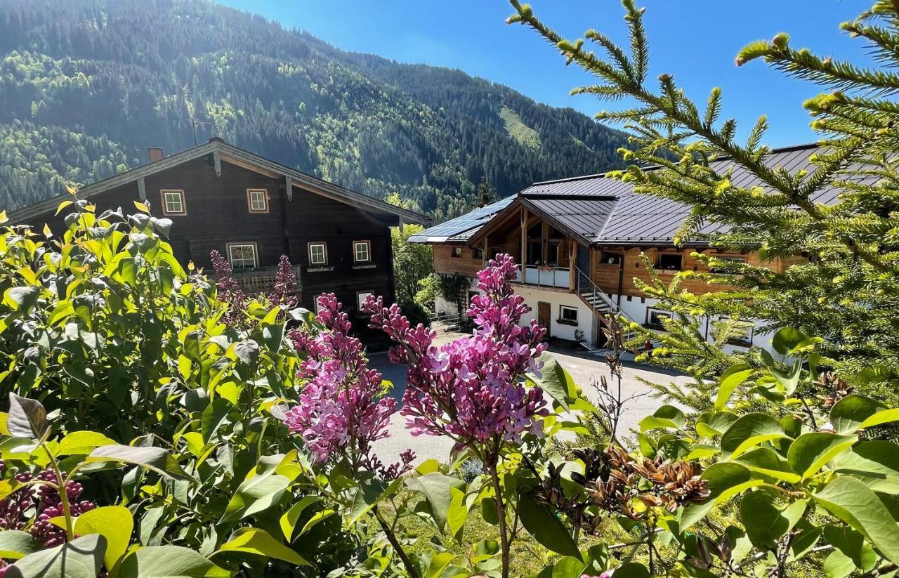 Arlerhof Appartement Untertauern Buitenkant foto