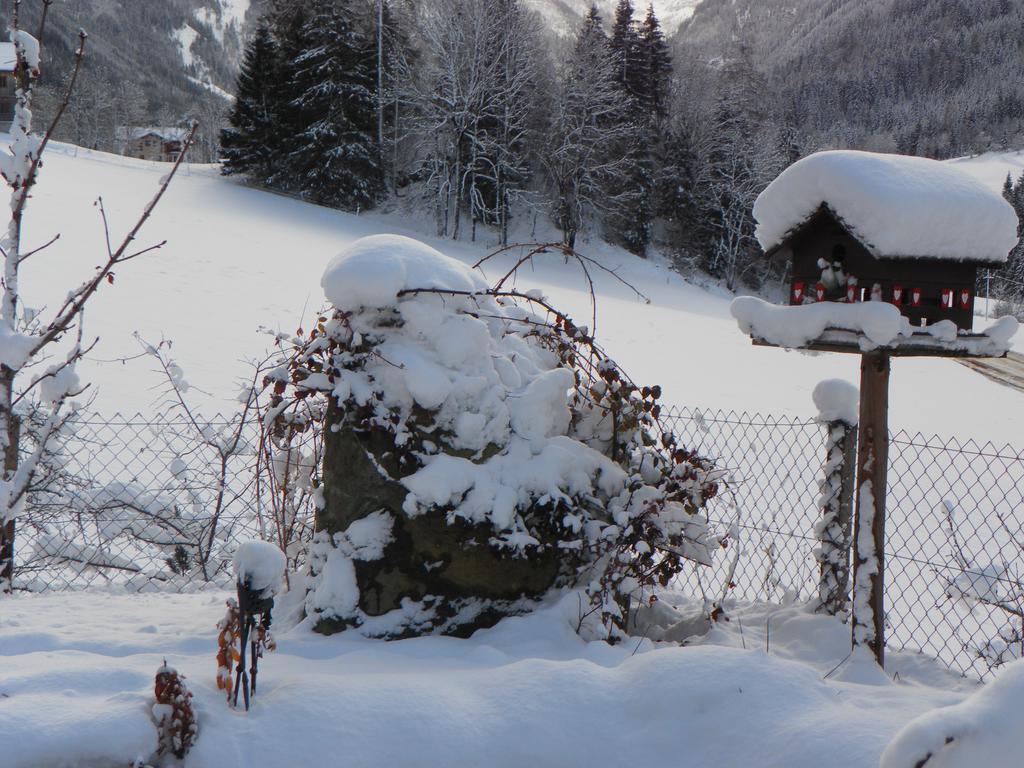 Arlerhof Appartement Untertauern Buitenkant foto
