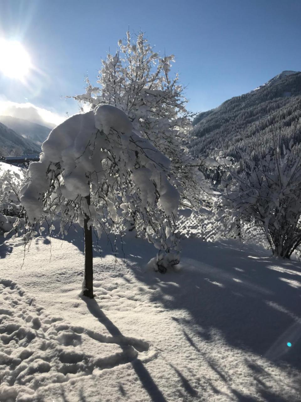 Arlerhof Appartement Untertauern Buitenkant foto